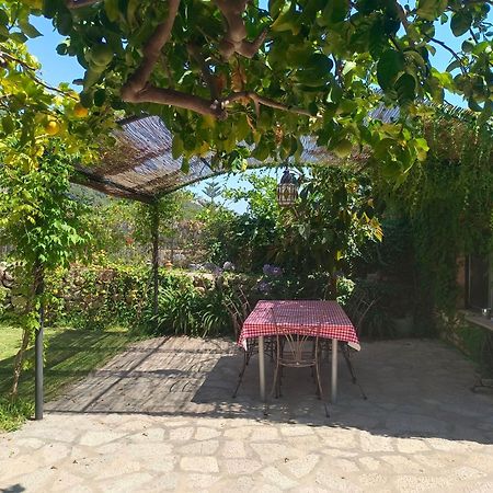 Filoses 18A Valldemossa  Εξωτερικό φωτογραφία