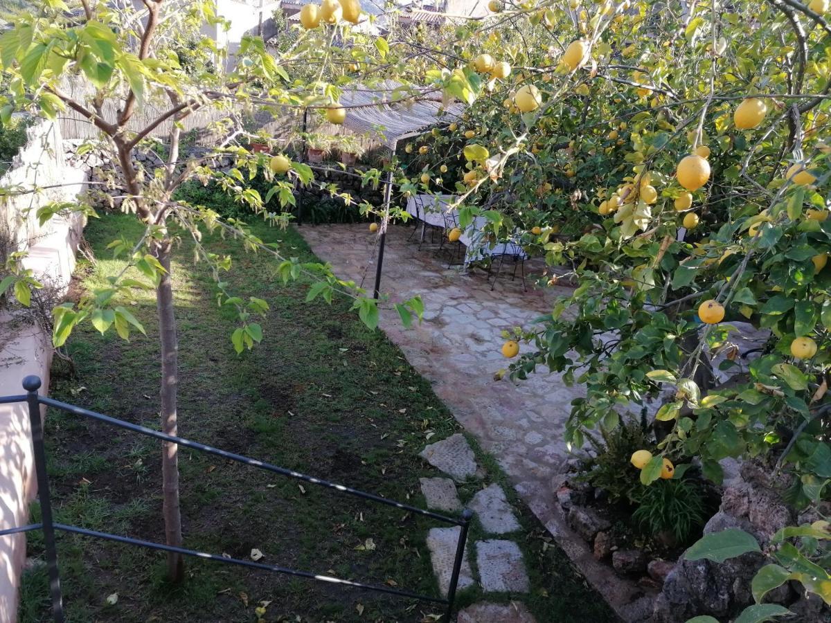 Filoses 18A Valldemossa  Εξωτερικό φωτογραφία